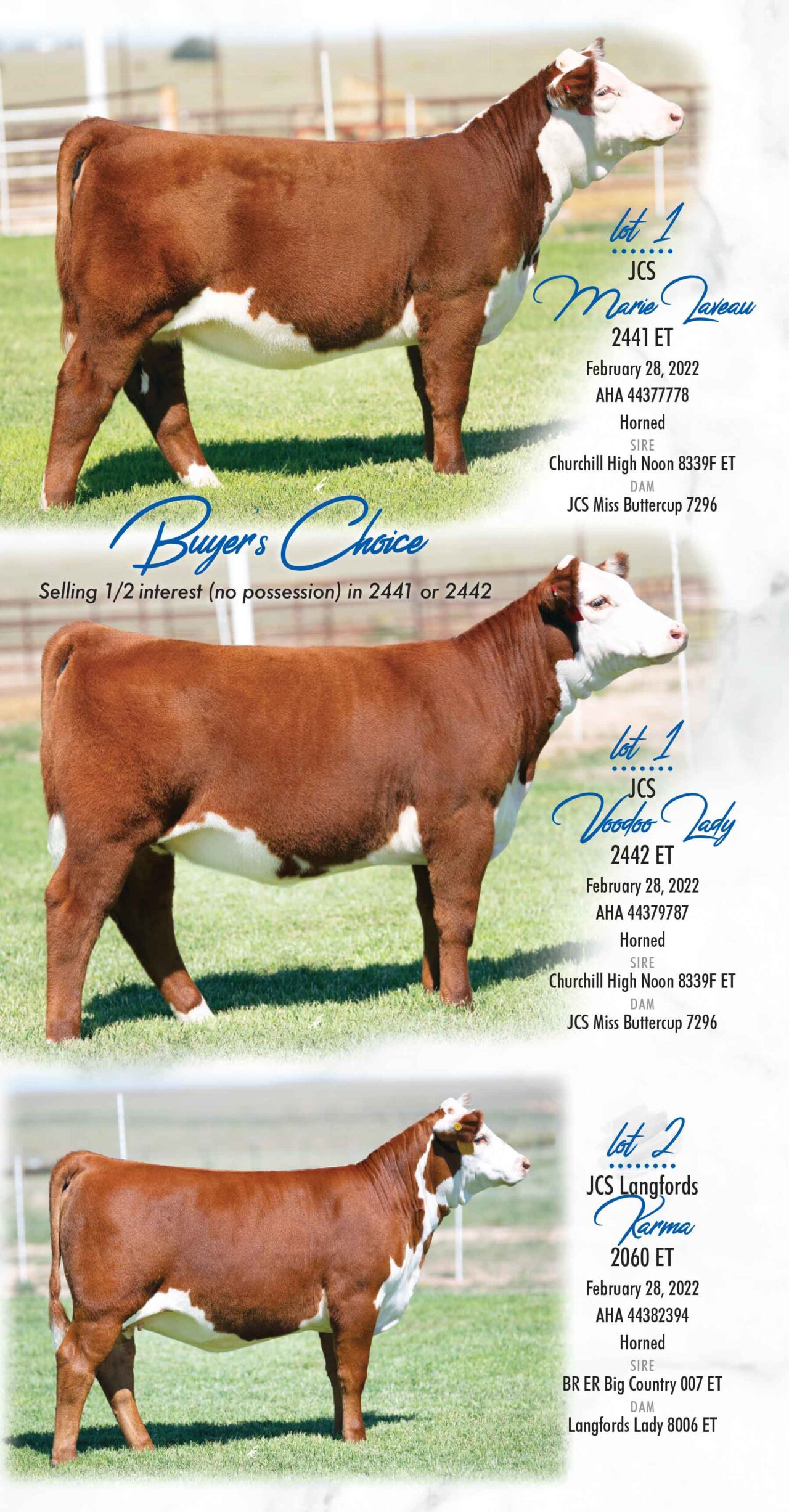 Female Sales | Copeland & Sons Herefords LLC